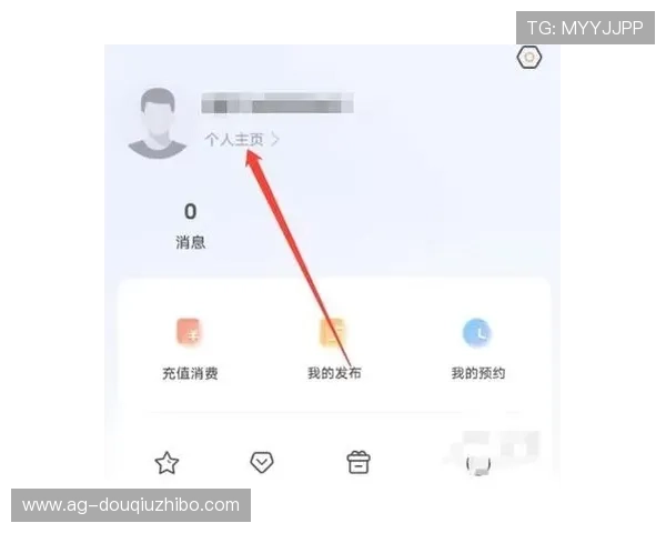 斗球直播官网电脑版如何快速登录与账号管理，轻松享受高清赛事直播